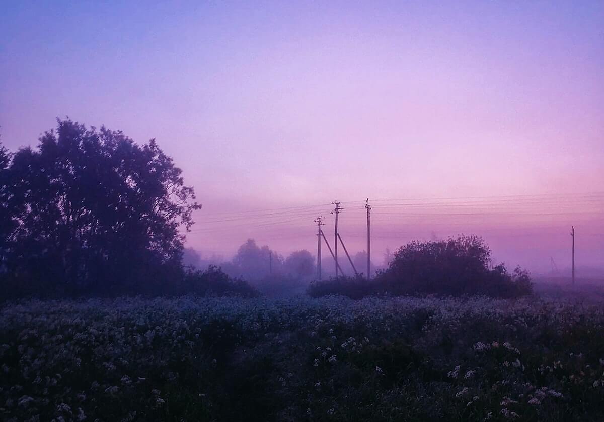 体育赛事直播：让每一个比赛夜晚成为你的专属高潮